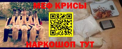 стафф Гай