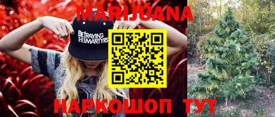 спиды Гатчина