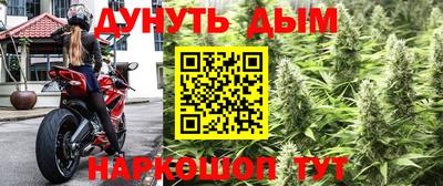 стафф Гай