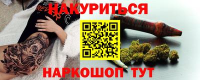 стафф Гай