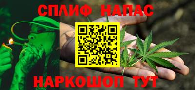 спиды Гатчина