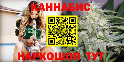 стафф Гай