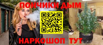 спиды Гатчина
