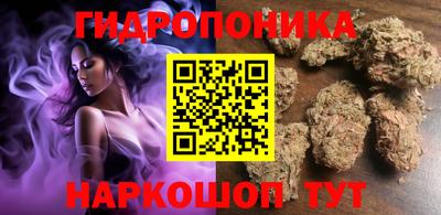 спиды Гатчина
