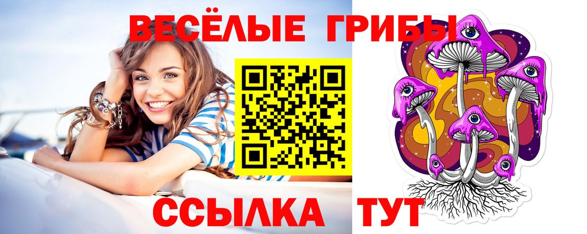 Галлюциногенные грибы MAGIC MUSHROOMS  закладка  Назрань  Вход с VPN 