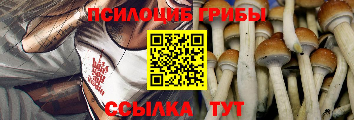 Псилоцибиновые грибы Magic Shrooms Назрань